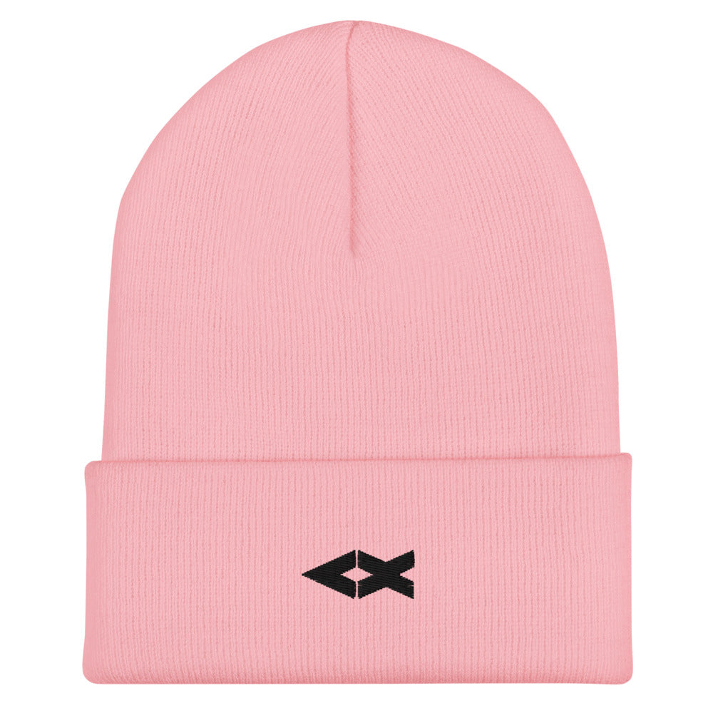 Cuffed Beanie
