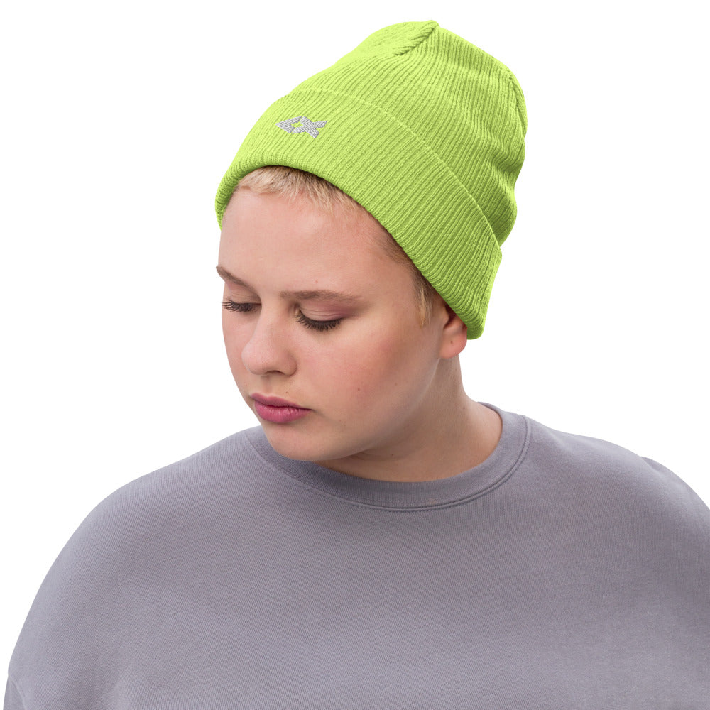 Ribbed Knit Beanie