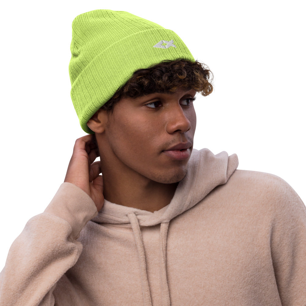 Ribbed Knit Beanie