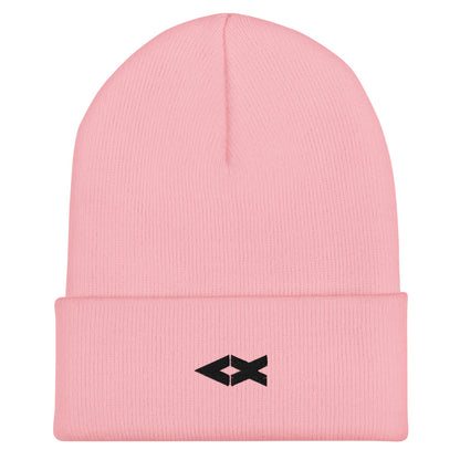 Cuffed Beanie